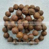 14 Beads Phoenix Eye Bodhi Seed Genuine Indonesian Buddha Chitta