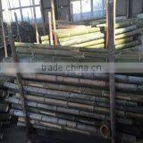 Xiamen Lvjie International Trade Co., Ltd. company overview - view 2 thumbnail