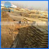 Sushi Bento Box Wood/Lunch Bento Box Wood thumbnail-5