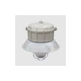 SAFD51 Safety-Enhanced Explosionproof Corrosion-proof Luminaires