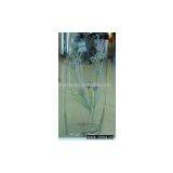 Glass Vase thumbnail-1