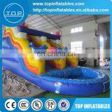 Cheap Ocean Theme Inflatable Water Slide for Sale