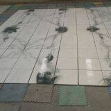 Панда белый мраморный плиточный материал thumbnail-5