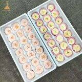 Handmade Preserved Flower Rose, Never Withered Roses, Austin Roses thumbnail-1