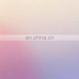 Ginger Garlic Onion Paste Grinder Ginger Grinding Machine Garlic Powder Machinery thumbnail-1