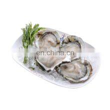 IQF Frozen Oyster With Half Shell Oyster Half Shell thumbnail-3
