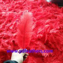 Red Colour Ostrich Feather From China For Handicrft