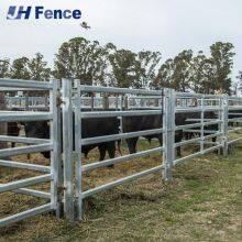 Unbreakable Cattle Panels: Heavy-Duty Welded Steel for Maximum Livestock Security & Long-Term Ranch Durability thumbnail-2