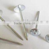 Galvanized Roofing Nails With Umbrella Head