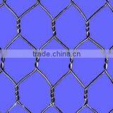 Chicken Wire Mesh Fence Netting(maufacturer)