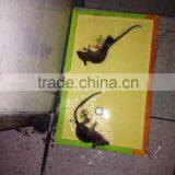 2016 Manufacture High Efficiency Mosquito Trap Sticky Mouse Trap thumbnail-2