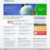 SEO Website Promotion thumbnail-1