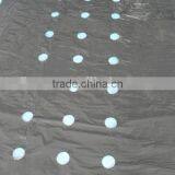 Silver and Black Perforated Mulch Film for Strawberry Planting thumbnail-2