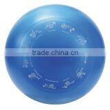 Anti-Burst Gym Ball thumbnail-1