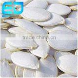 Pure White Pumpkin Seeds, Snow White From China thumbnail-1