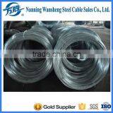 high tension hot dip galvanized steel wire