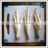 Small Peeling Machine For Chicken Paws/Chicken Paws Peeling Machine For Good Price thumbnail-3