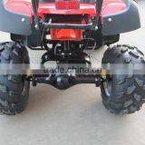 High Quality 1000W Electric Atv thumbnail-3