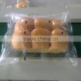 High Quality and Low Price 5Nm3 Small PSA Nitrogen Gas Generator for Food Industry thumbnail-6