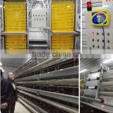 layer poultry farm with full set equipment