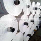 Factory Price pp Woven Bag With Any Printing You Want, Colorful pp Fabric in Roll, Durable Quality pp Woven Bag Roll