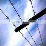 Barbed Iron Wire thumbnail-1