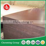 poplar core film coated plywood shuttering plywood