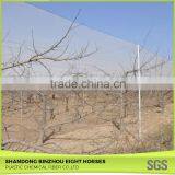 Website Agricultue Apple Tree Anti-Hail Net thumbnail-6