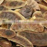 SENNA LEAVES thumbnail-2