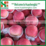 Chinese Fuji Apple/fresh Apple Fruit Specification/apple Price thumbnail-3