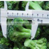 Bulk Pack Frozen Vegetables Broccoli