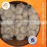 Fresh Garlic 2016 Crop Natural Garlic thumbnail-3