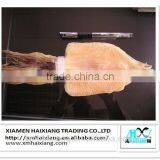 Export Dried Squid