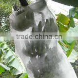 PP Spunbond Non-woven Fabric for Banana Cover 30gsm