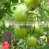 Chelated Humic Acid Particles