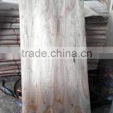 Eucalyptus Core Veneer B Grade - Kego Ltd thumbnail-2