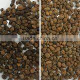 Automatic Ccd Color Sorter for Cashew Nut/apricot Kernels/walnut thumbnail-5