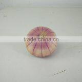 Decorative Artificial Tomato Fake Potato Lifelike Onion Wholesale thumbnail-4