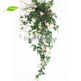 GNW FLV11 Calendula Flower Orange Blossom Flower Balloon Flower Root Extract thumbnail-2