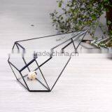 Family Decoration Geometric Terrarium Tabletop Glass Vase Indoor Garden Decor Air Plants Black Frame Flower Pot thumbnail-5