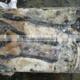 Spiny Lobster of Giant Squid thumbnail-2