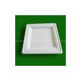 Rectangular Paper Plate thumbnail-1