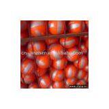 Rugby Ball thumbnail-1