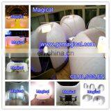 Inflatable Office Tent in a Bag With Led/party Tent
