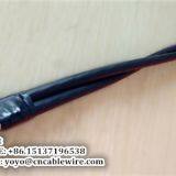 2 Core ABC Cable thumbnail-2