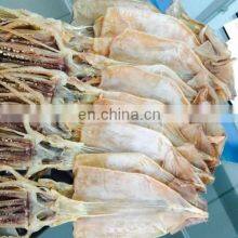 Good Quality Dried Squid