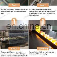 Eggs Brush Washer Sorting Sterilization Oiling Machine Automatic Egg Washing Machine thumbnail-3