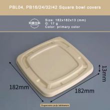 PBL04, PBL16/24/32/42 Square Bowl Covers