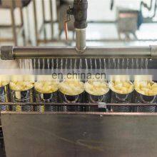 Small Scale Canned Peach Production Line thumbnail-3