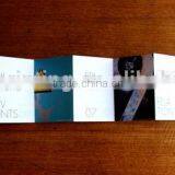 Full Color Printing Brochure thumbnail-2